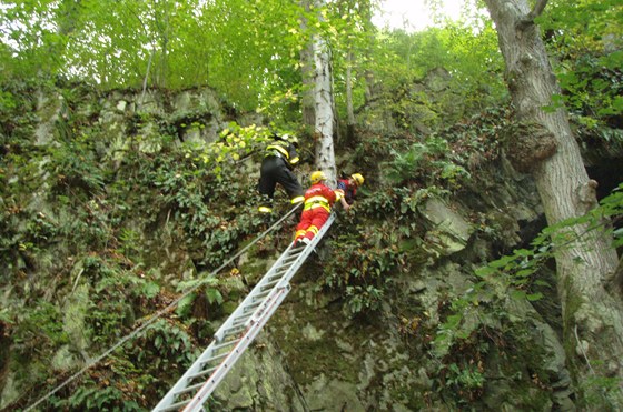 Z dvanáctimetrové výky hasii houbaku dostali pomocí lezecké techniky.