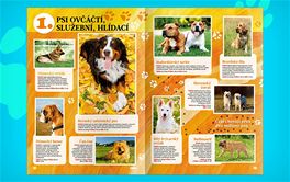 Ps album - Sbratelsk magazn Mlad fronty DNES