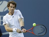 BEKHEND ZVLDNU. Andy Murray odehrv mek ve finle US Open proti Novaku...