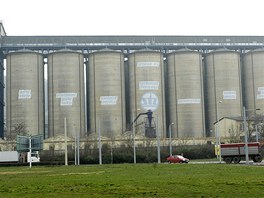 Sila Setuzy jsou prvn, co lovk uvid, kdy v st nad Labem pejede pes