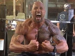 Nenechv nic nhod. Dwayne Johnson v, e jeho muskulatura je jeho velkm