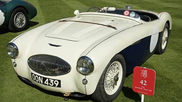 Concours of Elegance ve Windsoru: Austin-Healey Works 100S (automobil Marka Knopflera) (1954)