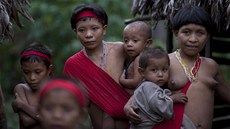 Vesnice indián z amazonského kmene Yanomami