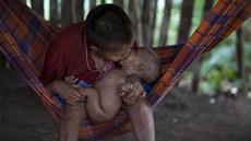 Vesnice indián z amazonského kmene Yanomami