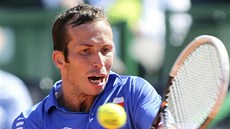 BEKHEND. eský tenista Radek tpánek v utkaní Davis Cupu proti Argentin. 