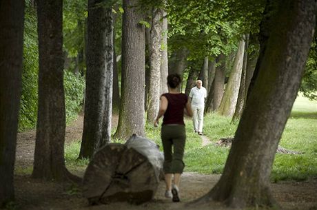 Na novém webu bude moné vybrat si park i podle toho, co v nm chcete dlat. (Ilustraní snímek)