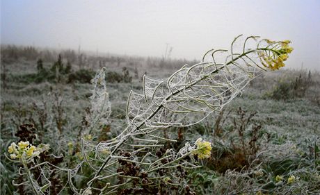 Rána jsou u nás momentáln chladnjí ne na Islandu. Ilustraní snímek