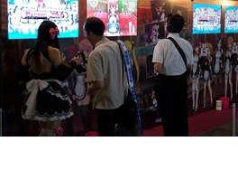 Tokyo Game Show 2012