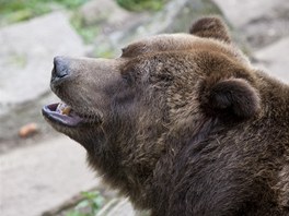 Bhem odpoledne se v zoo pedstavilo hned nkolik organizací, jejich innost...