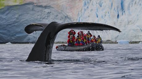 Turisté na gumovém raftu mli pi pozorování velryb na Antarktickém poloostrov...