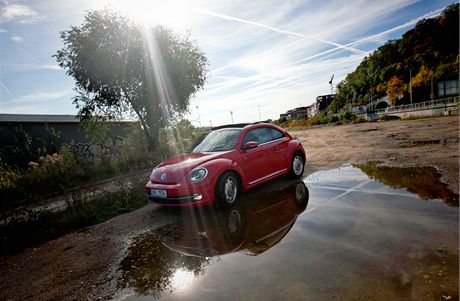 Volkswagen Beetle (8. jna 2012, Praha)