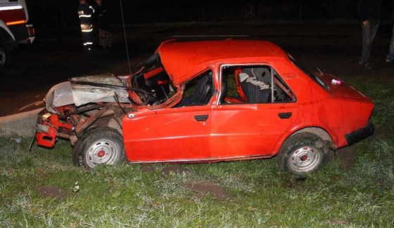 Na Hodonínsku se srazilo auto s koským povozem.