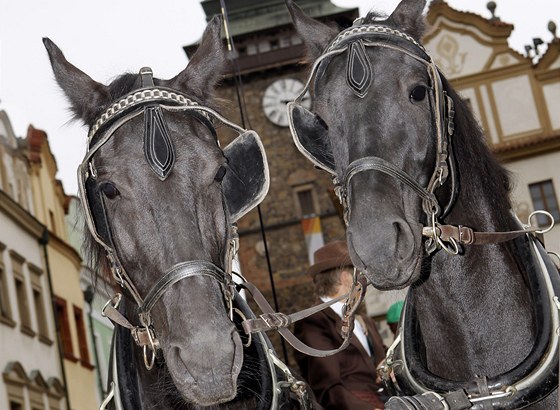Jezdci na koních a s vozatajové s koáry dorazili na pardubické Perntýnské