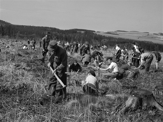 Fotografie z 28. dubna 1948 zachycuje studenty, kteí pomáhali s výsadbou znieného lesa.