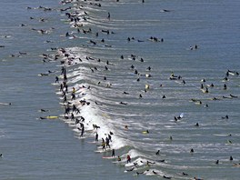 NA JEDNÉ VLN. Desítky surfa se v Kapském mst pokusily pokoit svtový...