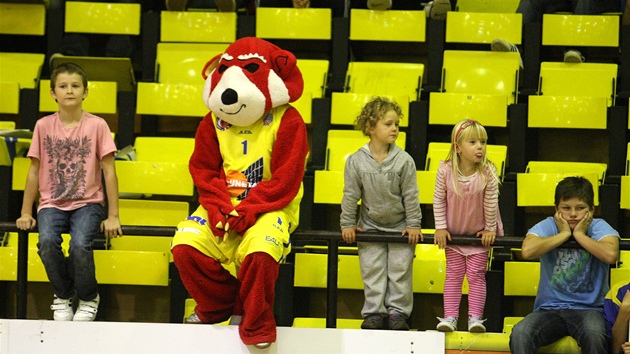 Panda, maskot steckho basketbalu.