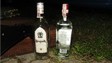 V kabin havarovaného polského kamionu policisté nali dv láhve vodky. Jedna
