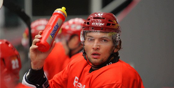 Martin Hanzal také zachrauje hokej v eských Budjovicích.