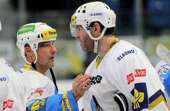 Martin Straka a Jaromír Jágr podpoili vznik hokejové asociace v esku.