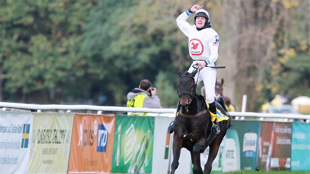 okej Jan Faltejsek na klisn Orphee des Blins m do cle 122. Velk pardubick. Foto: Michal Klma, MF DNES