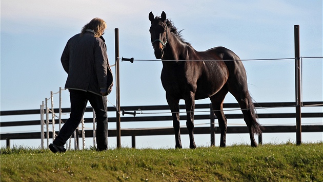 Trenr Gregorz Witold Wroblewski s vtzkou 122. Velk pardubick, desetiletou klisnou Orphee des Blins.