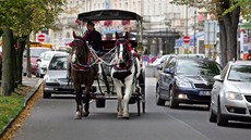 Kočár na silnici v centru Karlových Varů nedaleko budovy hlavní pošty. Kočár na silnici v centru Karlových Varů nedaleko budovy hlavní pošty.