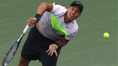 Tomá Berdych