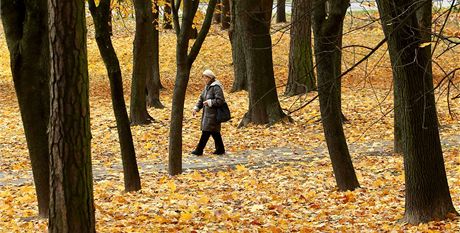 Nejdelí podzim ivota mají anci proít Praané. Ilustraní foto