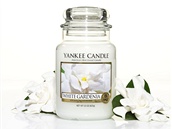 Velk vonn svce White Gardenia s vn gardnie, Yankee Candle, 634 korun