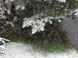 První sníh zaypal praský Bevnov (27. íjna 2012)