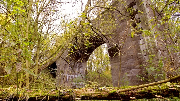 Zbytek železného mostu není přes stromy a keře téměřani vidět. Na začátku minulého století tvořil pozadí k vojenské plovárně.