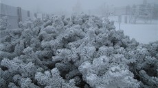 Zaátek zimy na beskydské Lysé hoe. (28. íjna 2012)