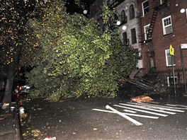 Vyvrácené stromy v newyorské tvrti East Village. Vítr bhem úderu Sandy na...