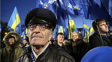 Píznivci ukrajinského prezidenta Viktora Janukovye slaví vítzství Strany