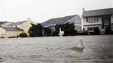 Dramatické mraky nad sochou Svobody nepatí hurikánu Sandy. Snímek se za pár posledních let na webu objevil vdy, kdy se do New Yorku blíilo patné poasí.