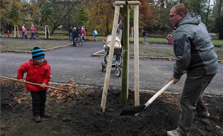 Pokud bude pát poasí, eká olomouckou Rudolfovu alej velká obnova spojená se sázením více ne stovky strom jet letos. Zájem u stejn jako pi první obnov opt projevily desítky lidí.