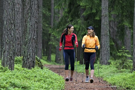 Nordic walking je sport pro vechny (ilustraní snímek)