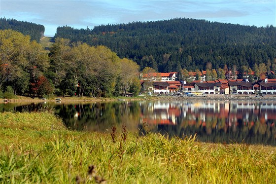 S lesním porostem v Lipn nad Vltavou mají souasní majitelé velké plány. 