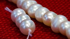 Kvalitní perly (vlevo) musí být kulaté, bez kaz, krásn lesklé a vechny se...