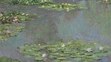 Obraz Nymphéas od Clauda Moneta se v aukní síni Christie's vydrail za 43,8