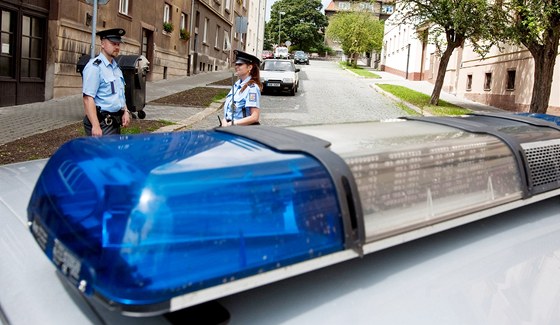 Policista viníka nehody poznal podle spálenin od bezpenostních pás. Donutil ho nasednout do sluebního auta. (ilustraní foto)