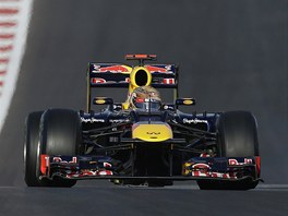 RYCHLK. Sebastian Vettel z Red Bullu projel nejrychleji tra pi tetm