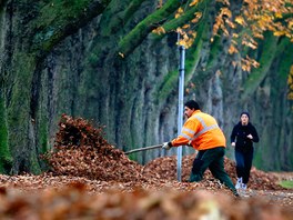LISTÍ A ZASE LISTÍ. Dlník odhazuje hromady listí v parku v Düsseldorfu....