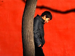 ZAKÁZANÉ STÍNY. Stíny strom na zdi Zakázaného msta v Pekingu vytvoily...
