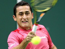 SNAHA. panlský tenista Nicolas Almagro ve finále Davis Cupu 