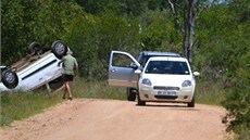 Rozzuený slon se v Krugerov parku vrhl na projídjící auto s britskými...