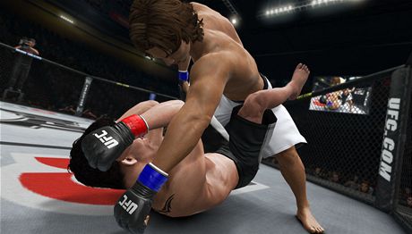 Ilustraní obrázek ze hry UFC Undisputed 3, která je pedmtem soudního sporu.