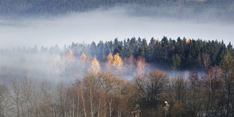 Národní park umava (ilustraní foto)