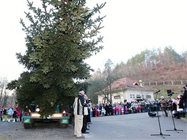 Vánoní strom slavnostn pebral primátor Brna Roman Onderka.