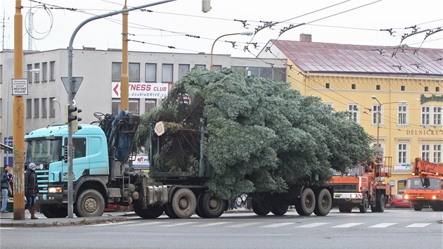 Vnon jedle do Jihlavy putovala z Duejova. 